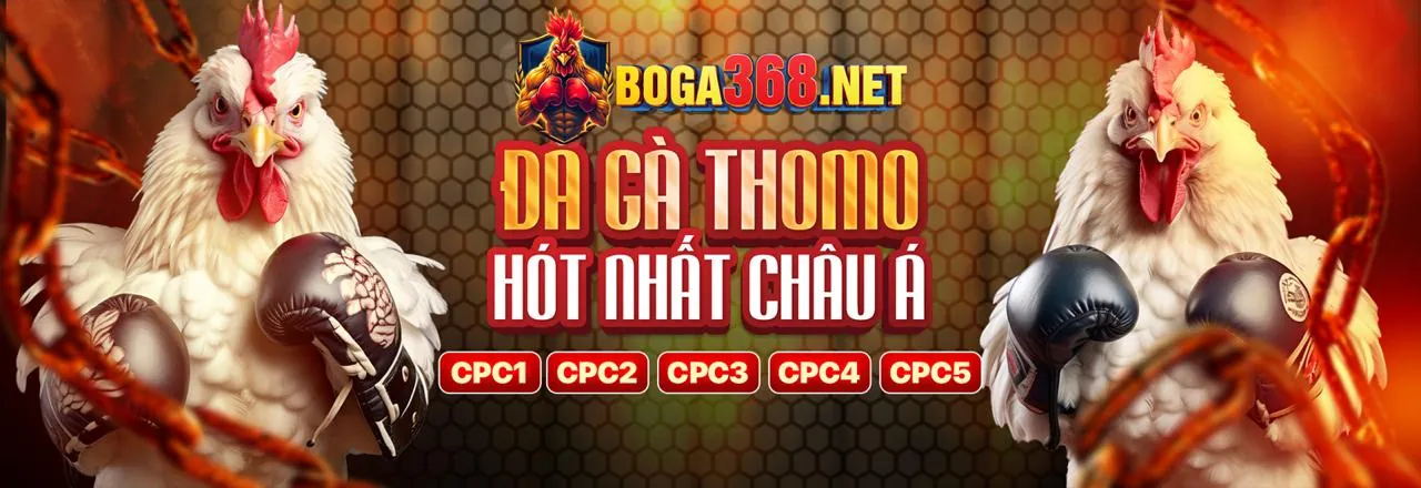 Đấu trường đá gà trực tuyến bong69